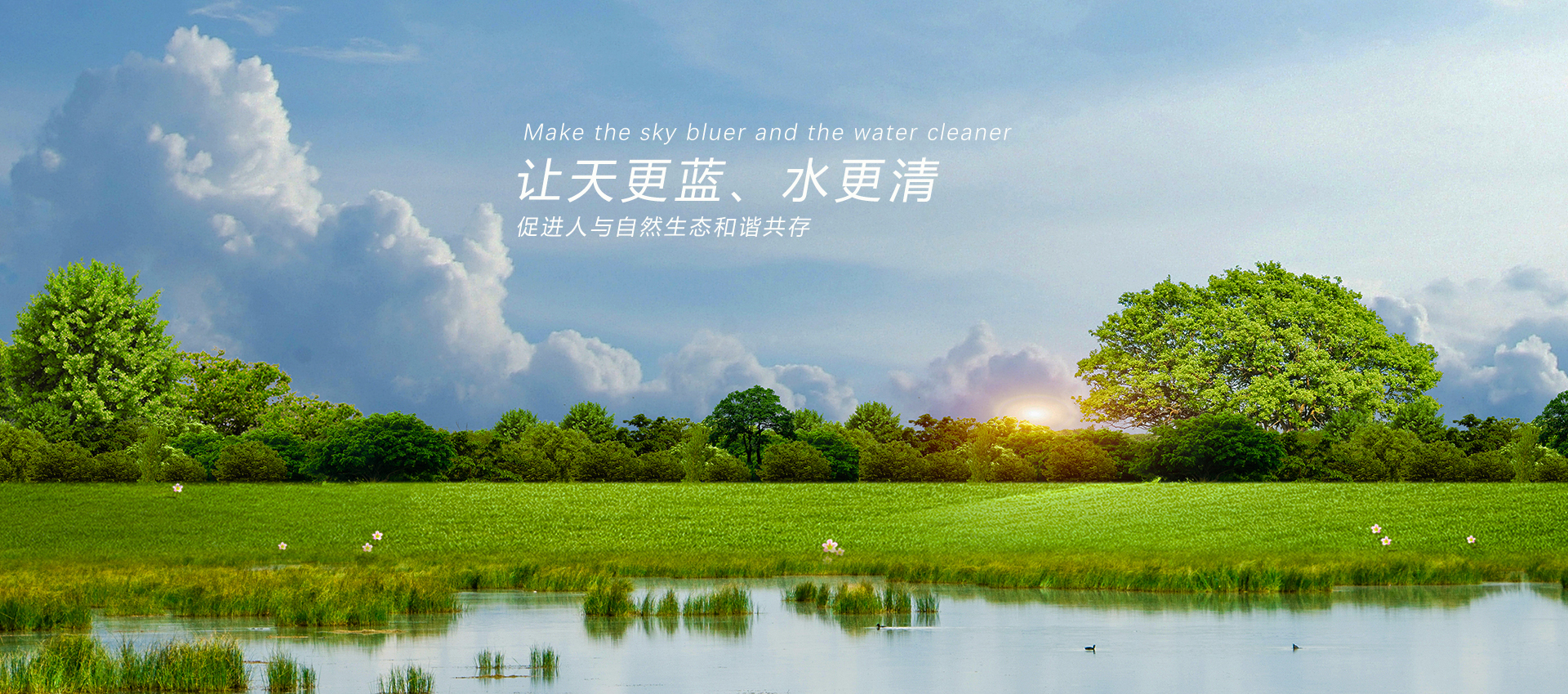 【留神】环境部发文也提取消专家资格并公告：采取“定期检查+不定期抽查”加大规划环